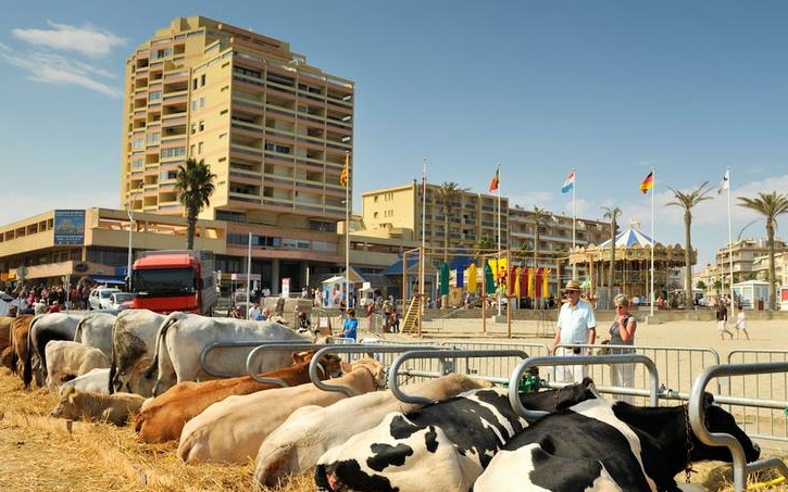 ferme canet Cropped