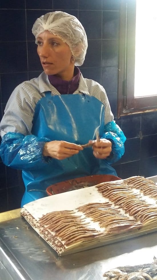 Anchovies Collioure