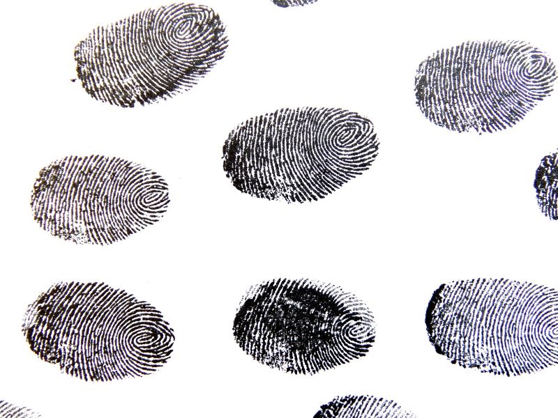 fingerprint-