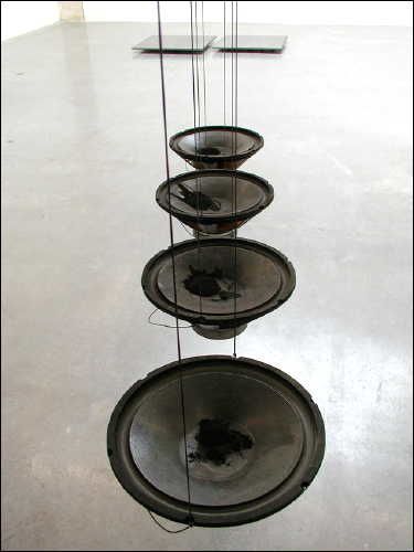 four large black