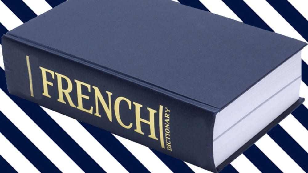 New words in French dictionary