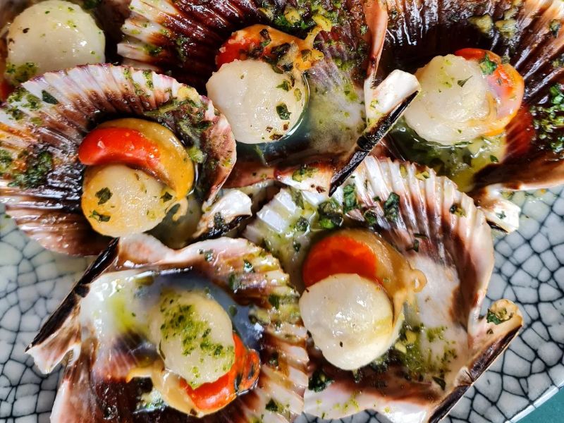 horta de can patxei