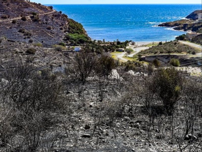 fire banyuls