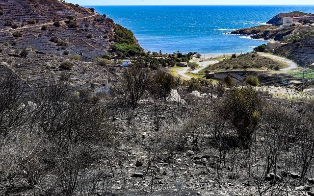 banyuls fire Cropped