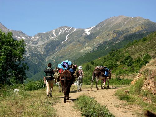 Mas Fontane, Céret