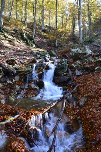 Col l’Ouillat, Pic Neoulous