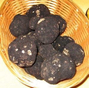 Truffles