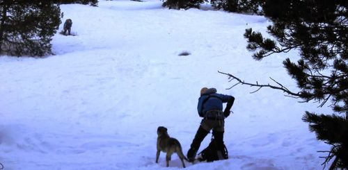 Avalanche Rescue in the Pyrenees Orientales