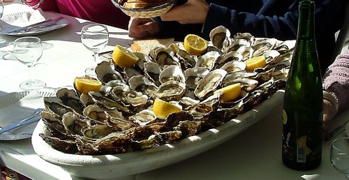 oysters in Leucate
