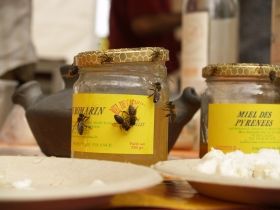 Fête du miel et des abeilles