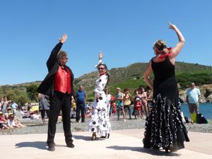 Beach festival, Port Vendres