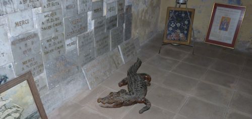 Crocodiles in Collioure