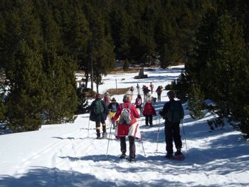 Snowshoe walk