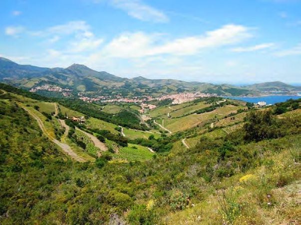 banyuls circular