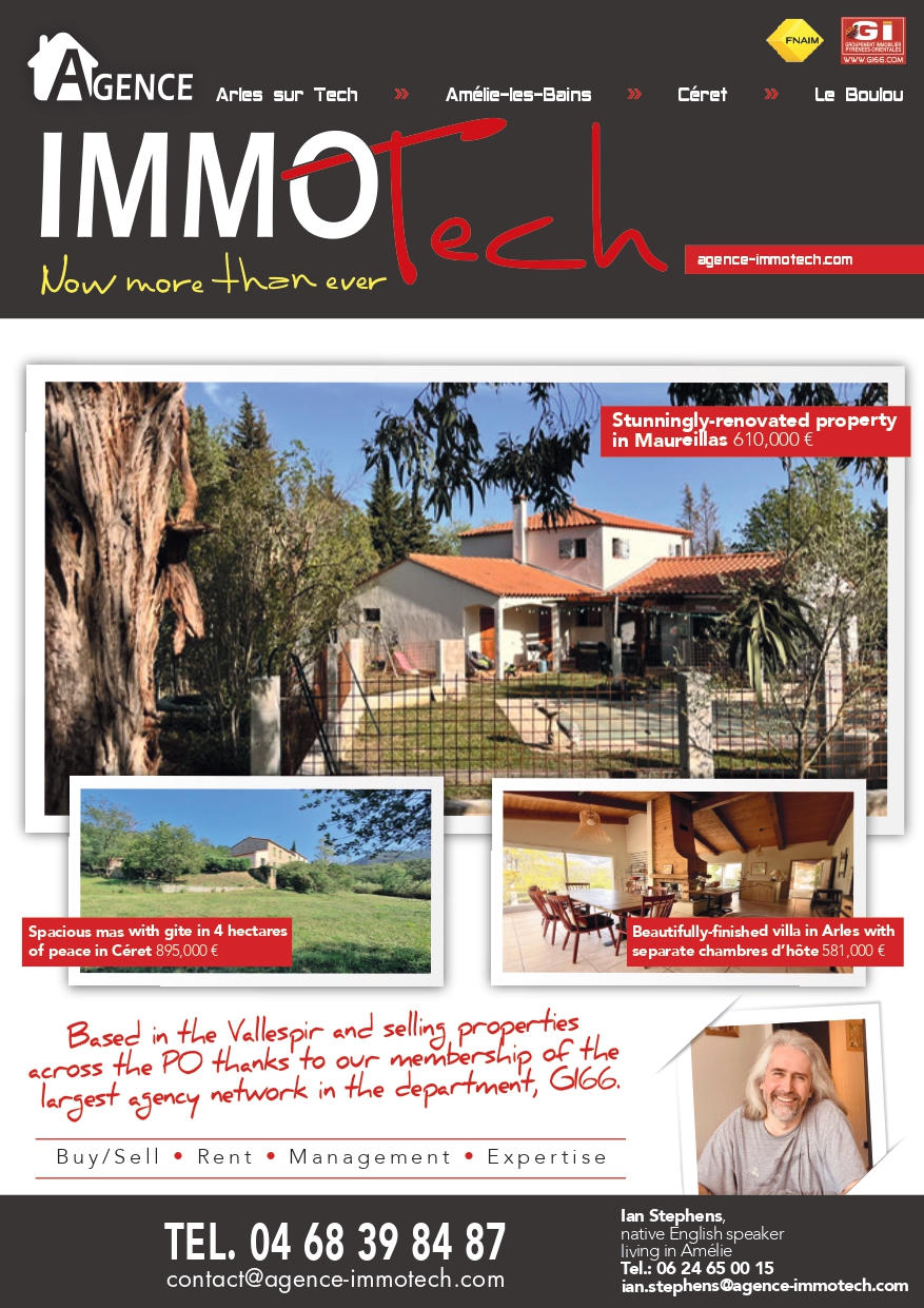immotech 81