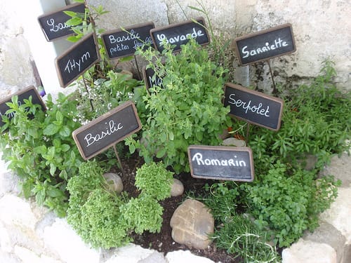 Herbs, Spices and oils in French