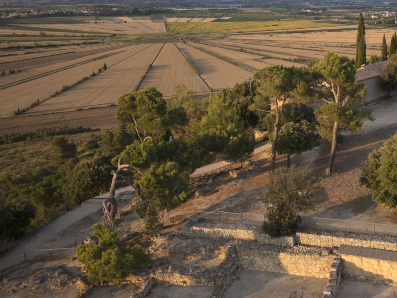 montady