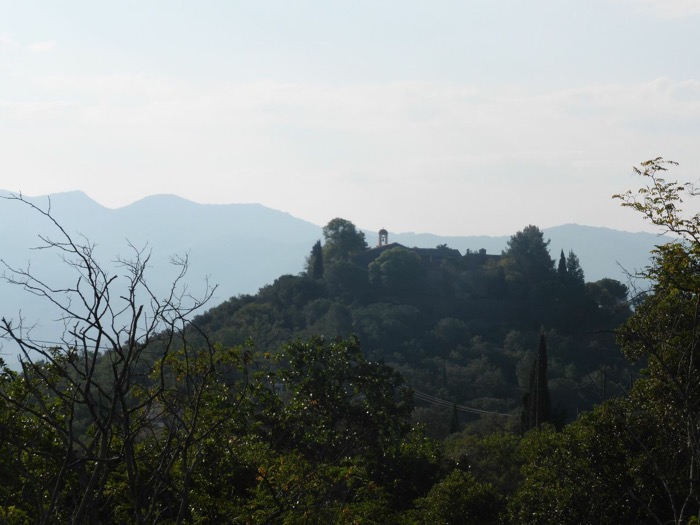 from Céret ferreol