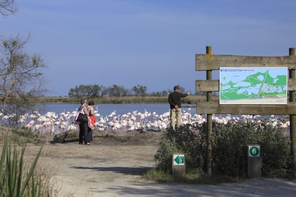 Aigues Mortes