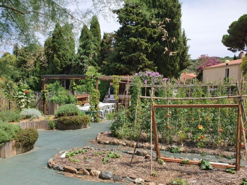 Permaculture in Collioure explained by Ellen Turner Hall