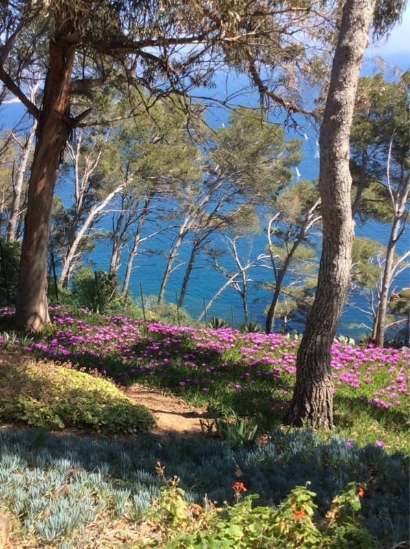 Girona’s Botanic Gardens at Cap Roig, Calella de Palafrugell