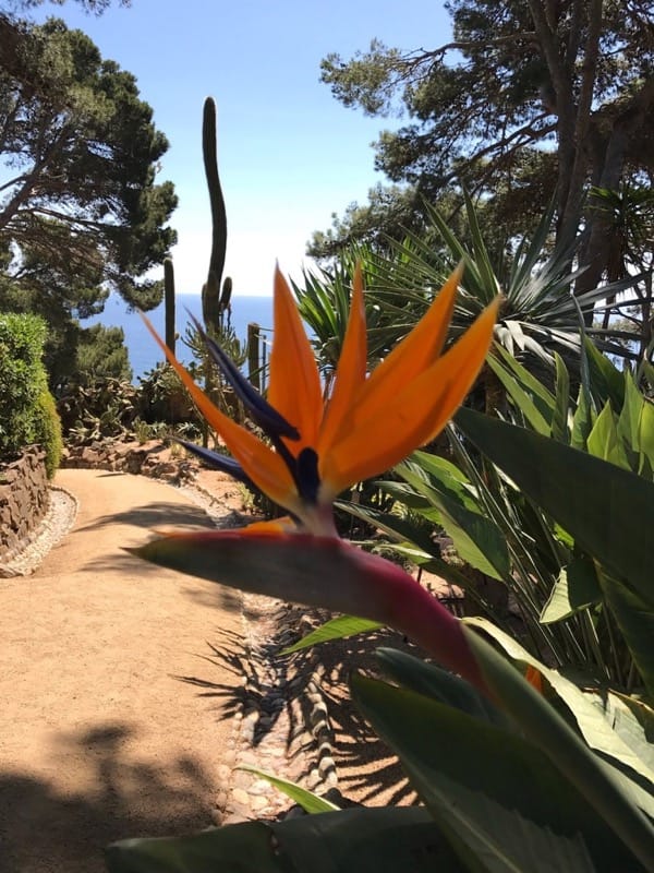 Girona’s Botanic Gardens at Cap Roig, Calella de Palafrugell