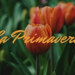 Primavera del Volo