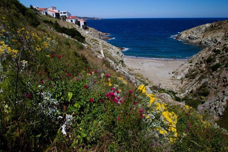 Banyuls Marine Reserve