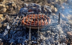 saucisse Cropped