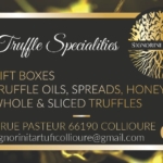 signorini truffles