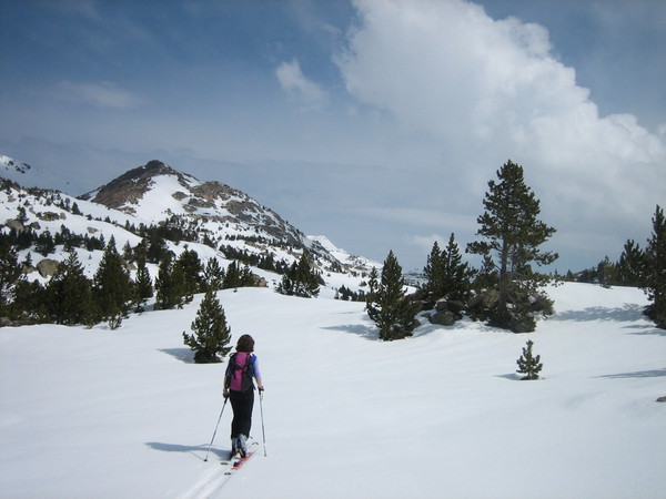 Snowshoe walk 