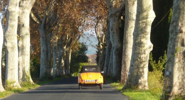 New driving laws in France... - P-O Life