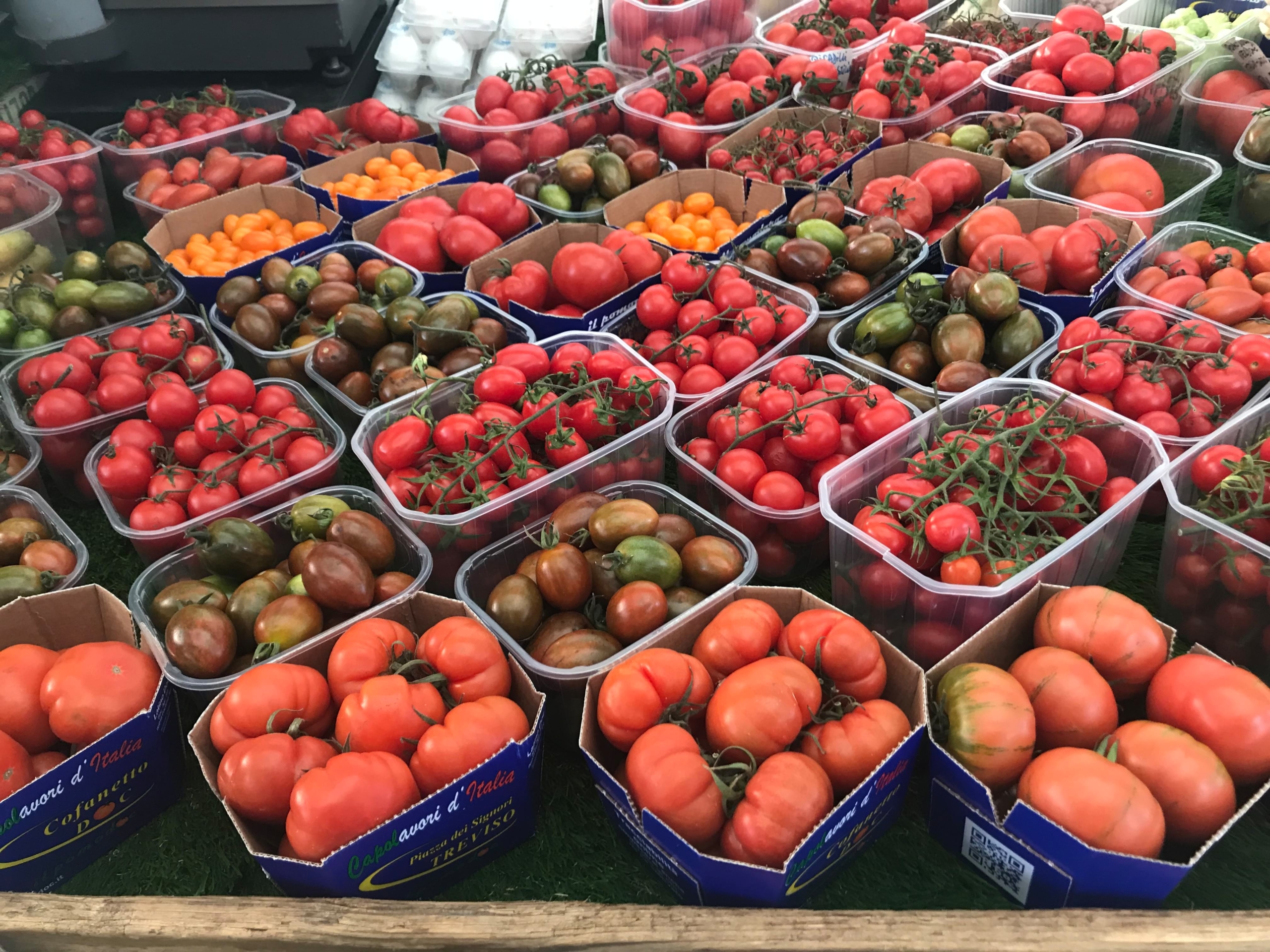 tomatoes