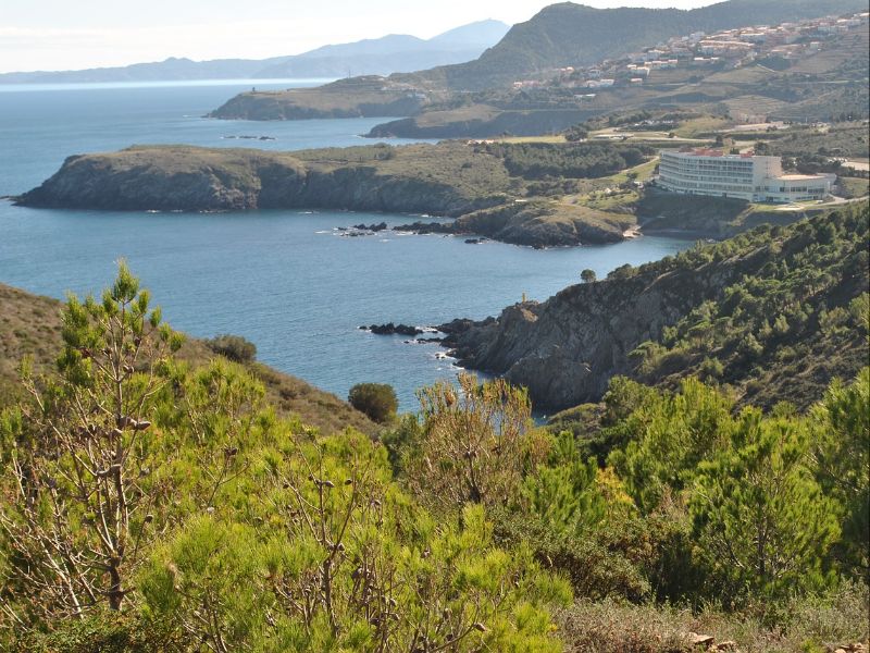Cerbère