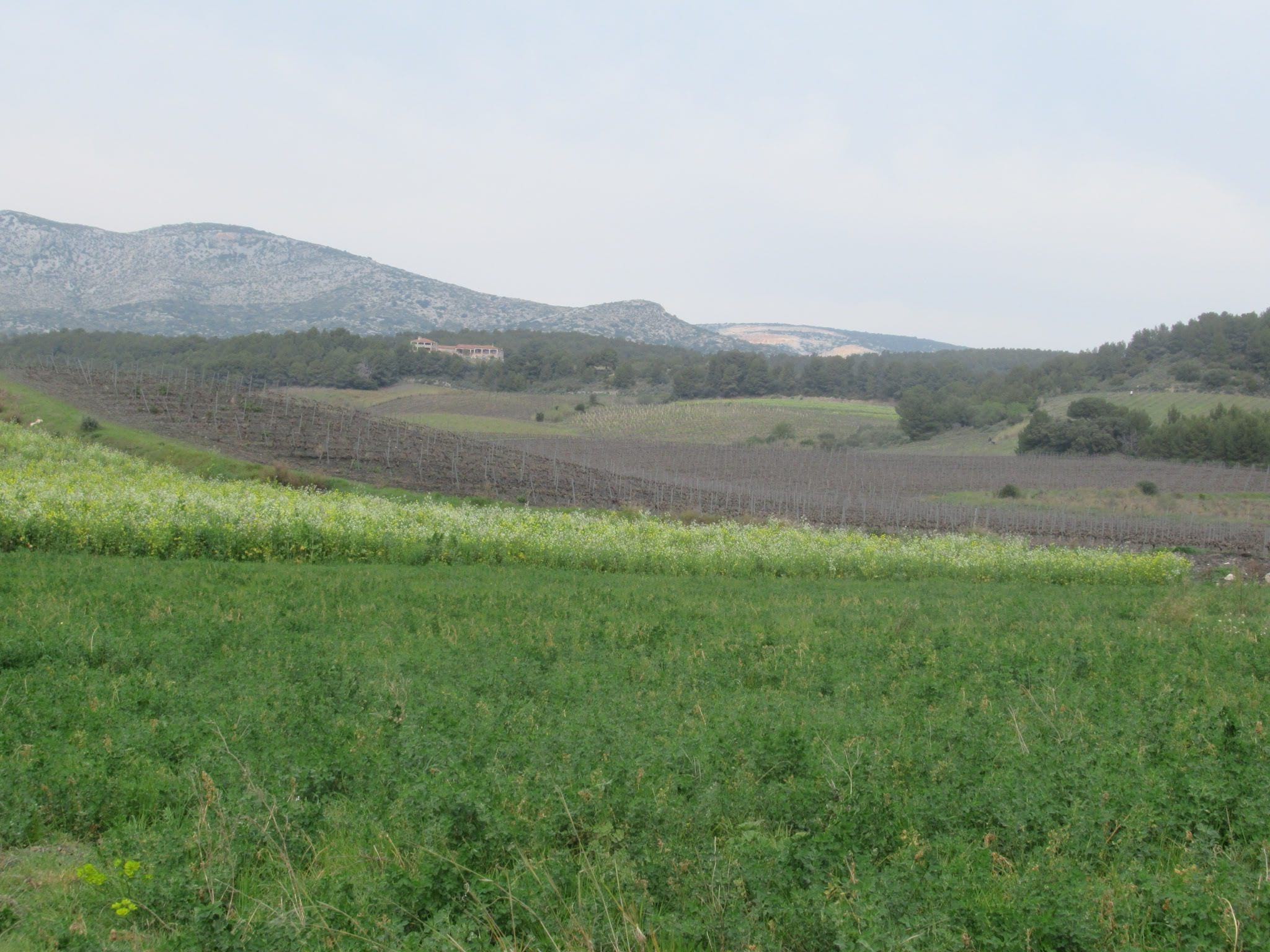 domaine vieux chene