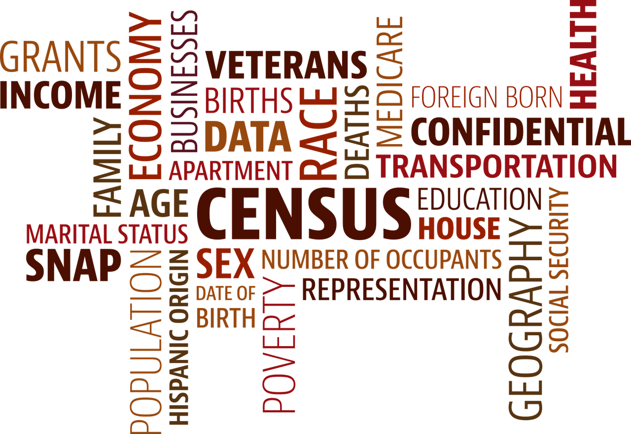 census word cloud